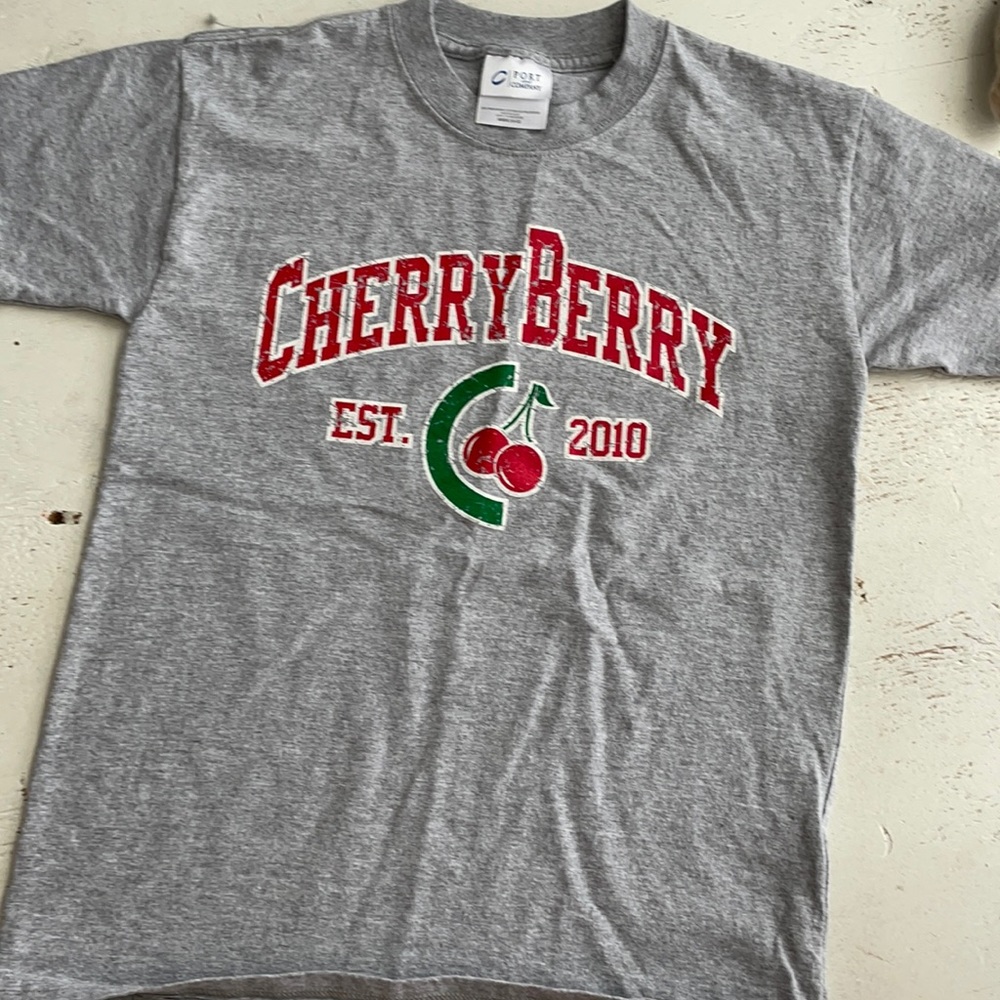 [ Cherry Berry Frozen Yogurt Gray Shirt ] M 10-12